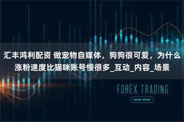 汇丰鸿利配资 做宠物自媒体，狗狗很可爱，为什么涨粉速度比猫咪账号慢很多_互动_内容_场景