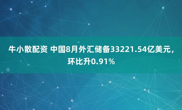 牛小散配资 中国8月外汇储备33221.54亿美元，环比升0.91%